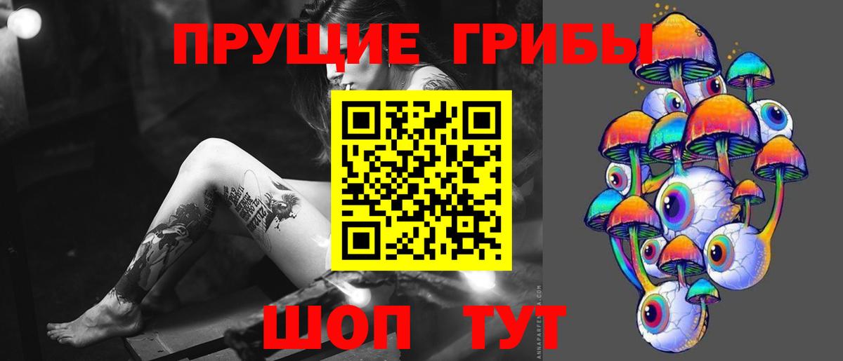 Галлюциногенные грибы Psilocybe  Вход с VPN  Новокузнецк 